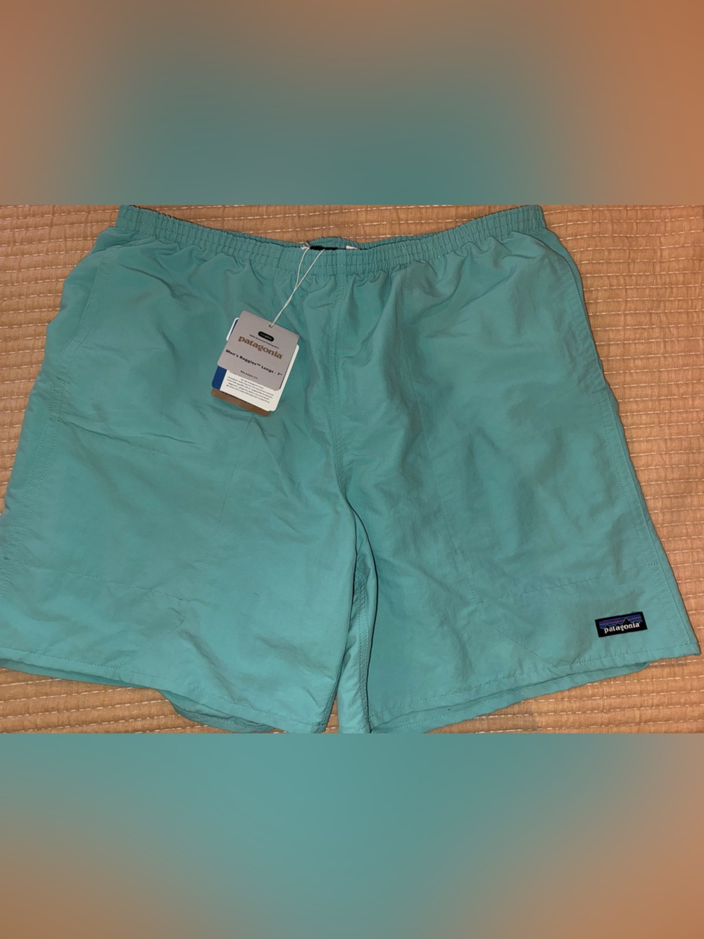 Patagonia Men's Turquoise Swim Shorts